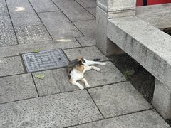 -即墨古城