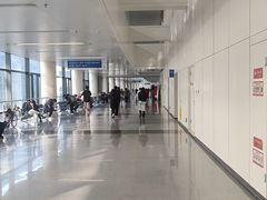-首都医科大学附属北京天坛医院