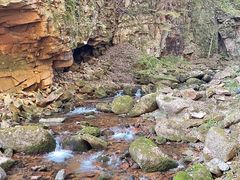 -五女峰国家森林公园