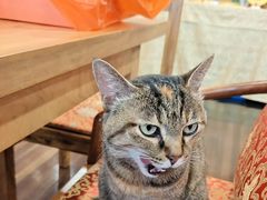 -龙华素斋(龙华路店)