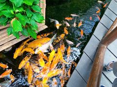 -上海大自然野生昆虫馆