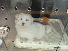 -FAELING PETS美天灵宠物(富力广场店)