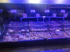 -韩盛·盛江山自助料理(中街大悦城店)
