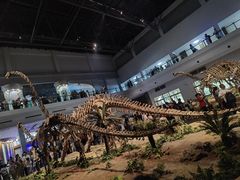 -自贡恐龙博物馆