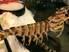 -鲜入围煮花胶鸡海鲜火锅