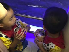 -黄浦江游览快线(金陵东路码头)