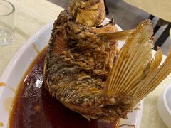 挣蹦鲤鱼-奥华餐厅·老张记(台基厂店)