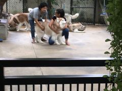 -TrueLove @ Neverland (Husky Cafe)