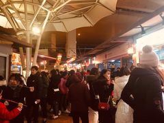 -锦江乐园舞狸花花游园会(夜场专享)