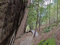 -武夷山风景名胜区-虎啸岩