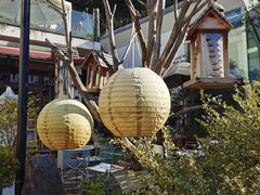 -Cafe In Little Forest