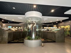 -下渚湖国家湿地公园科普馆