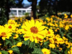 -国家植物园南园