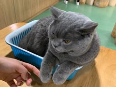 -藦茜花园宠物主题亲子互动体验馆(国顺东路店)