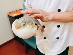 -长顺河豚馆(江洲东路)