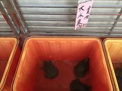 -荔城生鲜盛宴(番禺旗舰店)