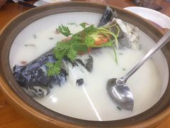 -全乐鱼馆·淳牌有机鱼直营店