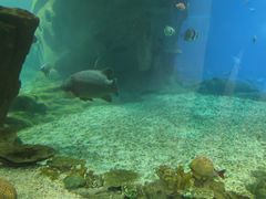 -福州罗源湾海洋世界旅游区