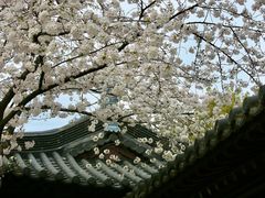 -寒山寺