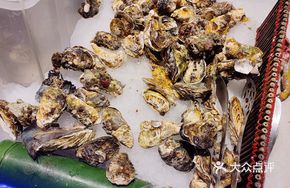 Free Unlimited Oyster Feast