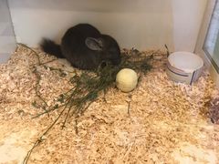 -龙猫仔乐园(惠福东路店)