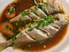 -船歌·鱼水饺青岛菜(闽江二路店)