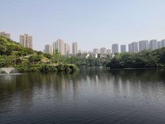 -重庆彩云湖湿地公园