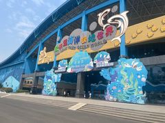 -泉城欧乐堡海洋极地世界