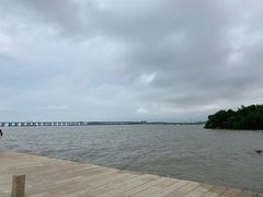 -宝安西湾红树林湿地公园