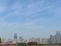 -苏州湾体育公园