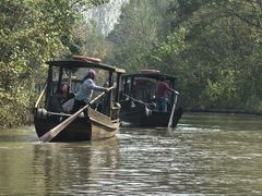 -溱湖国家湿地公园