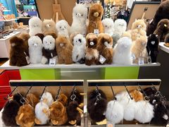 -怀托摩萤火虫洞