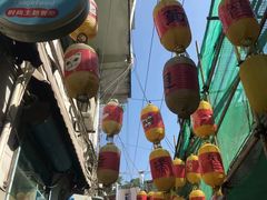 -猫咪博物馆(顶澳仔猫街店)