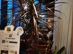 -G+KITCHEN(龙湖狮山天街店)