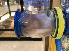 -momokira米努特·德文卷毛猫·棉花面纱犬