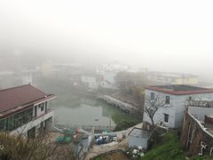 -枸杞岛
