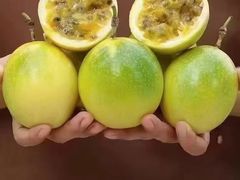 -古水井老冰粉(章江路店)