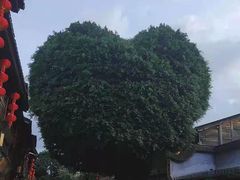 -梵猫·新养生(福州万象城店)
