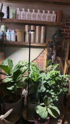 -青木造型HAIR·あおき髪を刈る潮人店