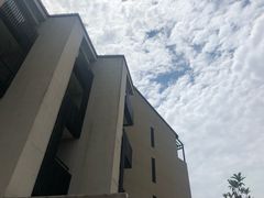 -上海崇明金茂凯悦酒店