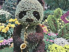 -杭州植物园