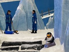 -长沙湘江冰雪世界