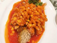 松鼠桂鱼-城北食府(枫林店)
