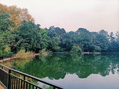 -三岔湖景区