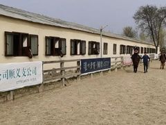 -北京群众马术培训基地