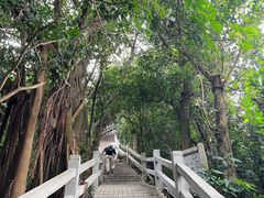 -广州市白云山风景名胜区