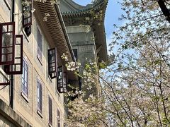 -武汉大学-樱园