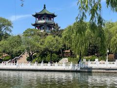 -莱西月湖公园