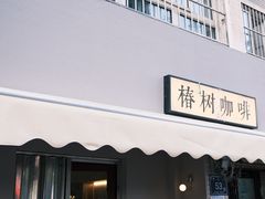 -椿树咖啡