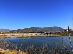 -永定河休闲森林公园